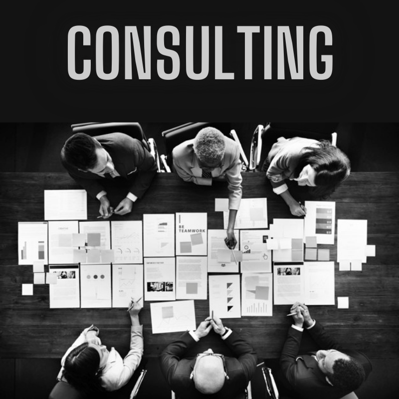 gym consulting